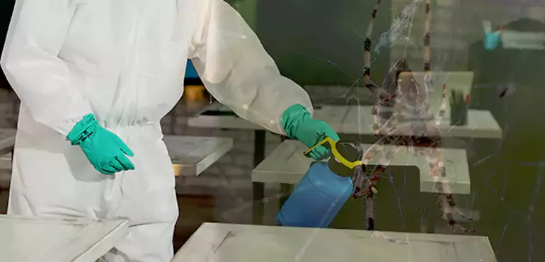 Why Buyers Still Want Homes With Pest Infestations in Tulsa, OK?